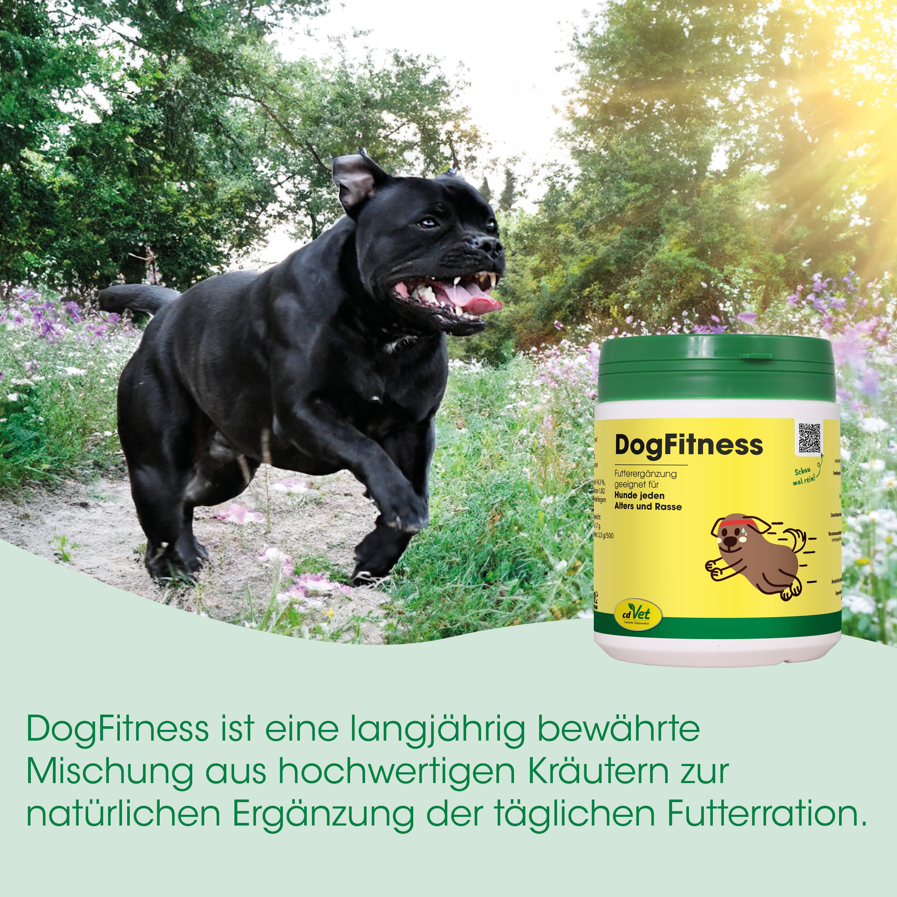 Hund, Hundefutter, Tiernahrung, Ergänzungsmittel, Flasche Etikett