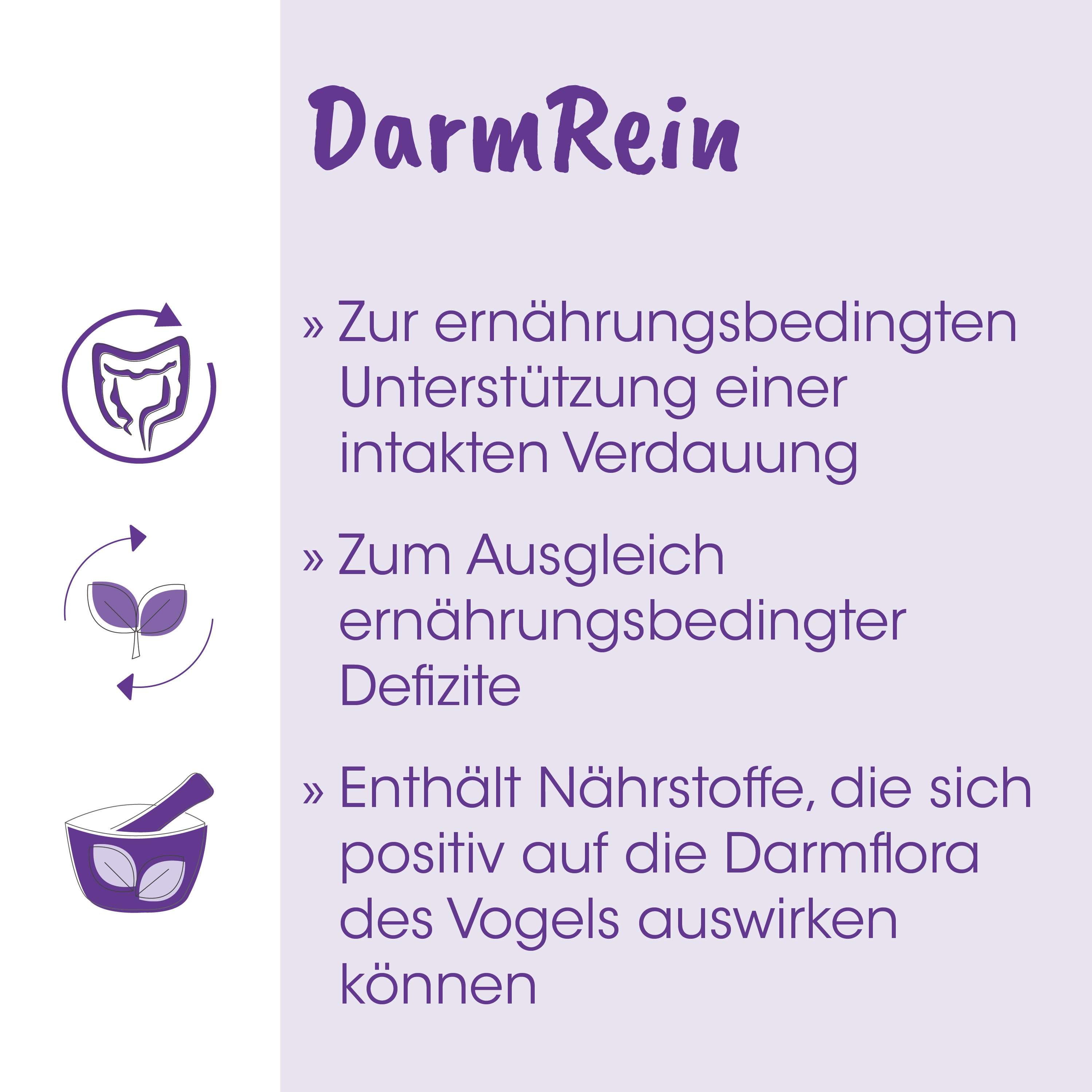 Darmrein, Verdauung, Nährstoffe, Darmflora, Kapsel