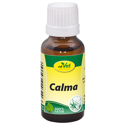 Calma