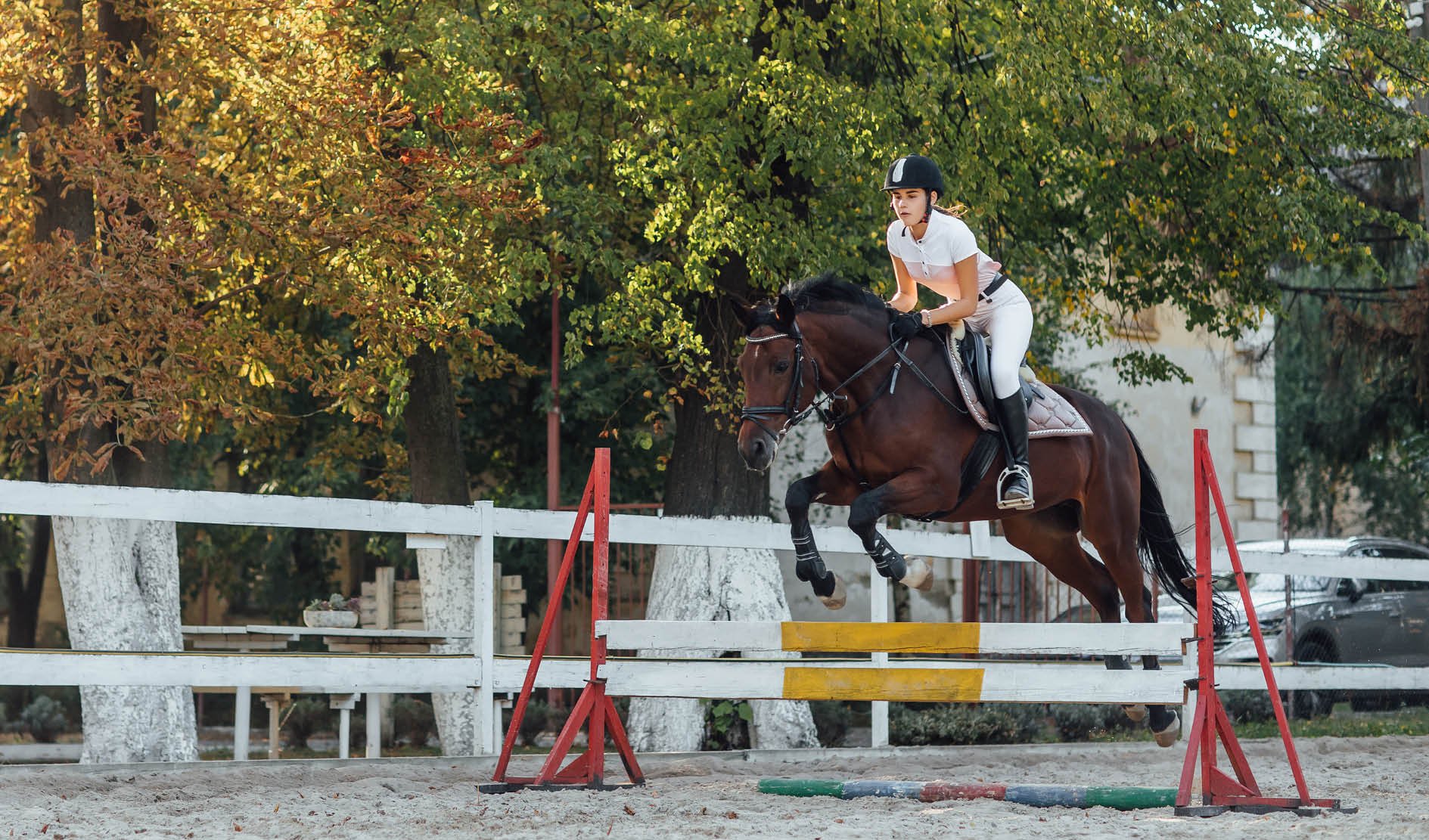 Reitpferd, Pferdespringen, Sprunghindernis, Reiterin, Helm