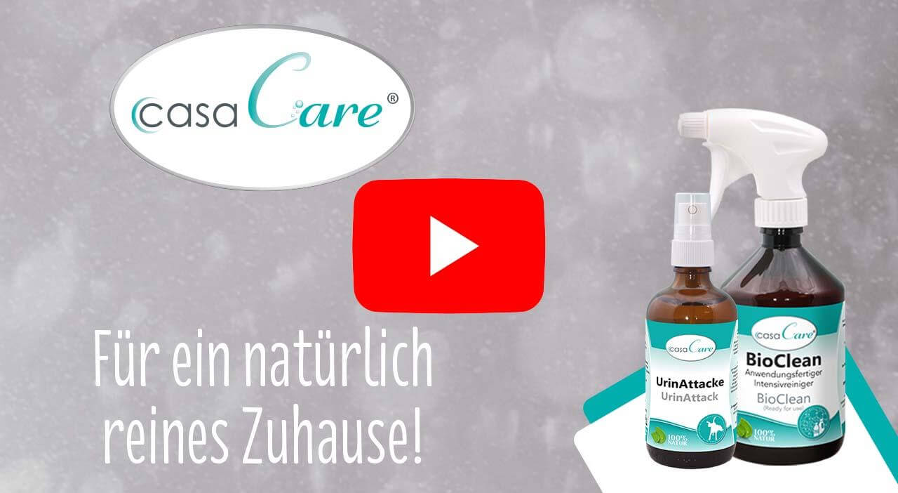 Putzmittel, Haushalt, Reinigungsmittel, Sprühflasche, BioClean