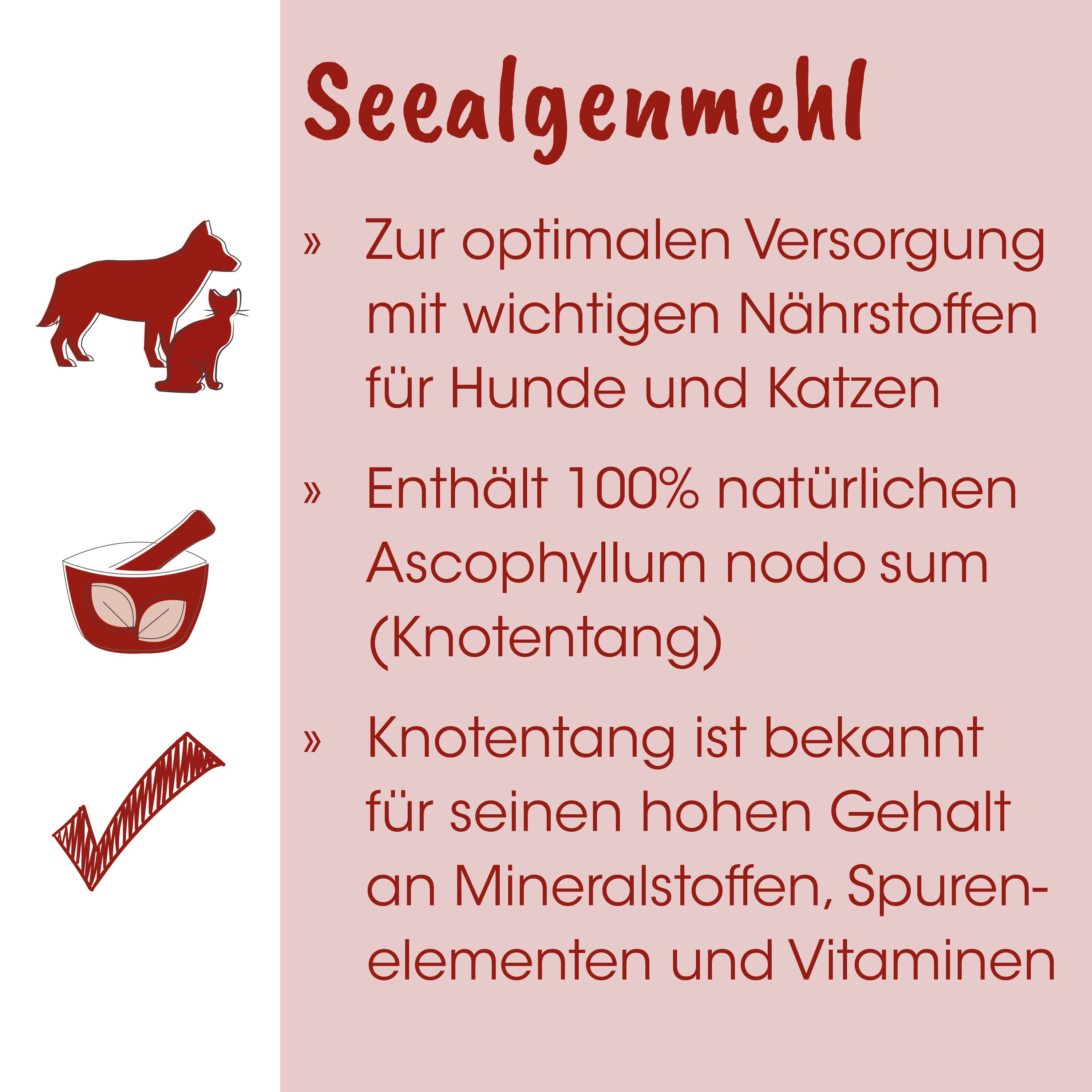 Hund Futter, Nahrungsergänzung, Ascophyllum nodosum, Knochenergänzung, roter Behälter