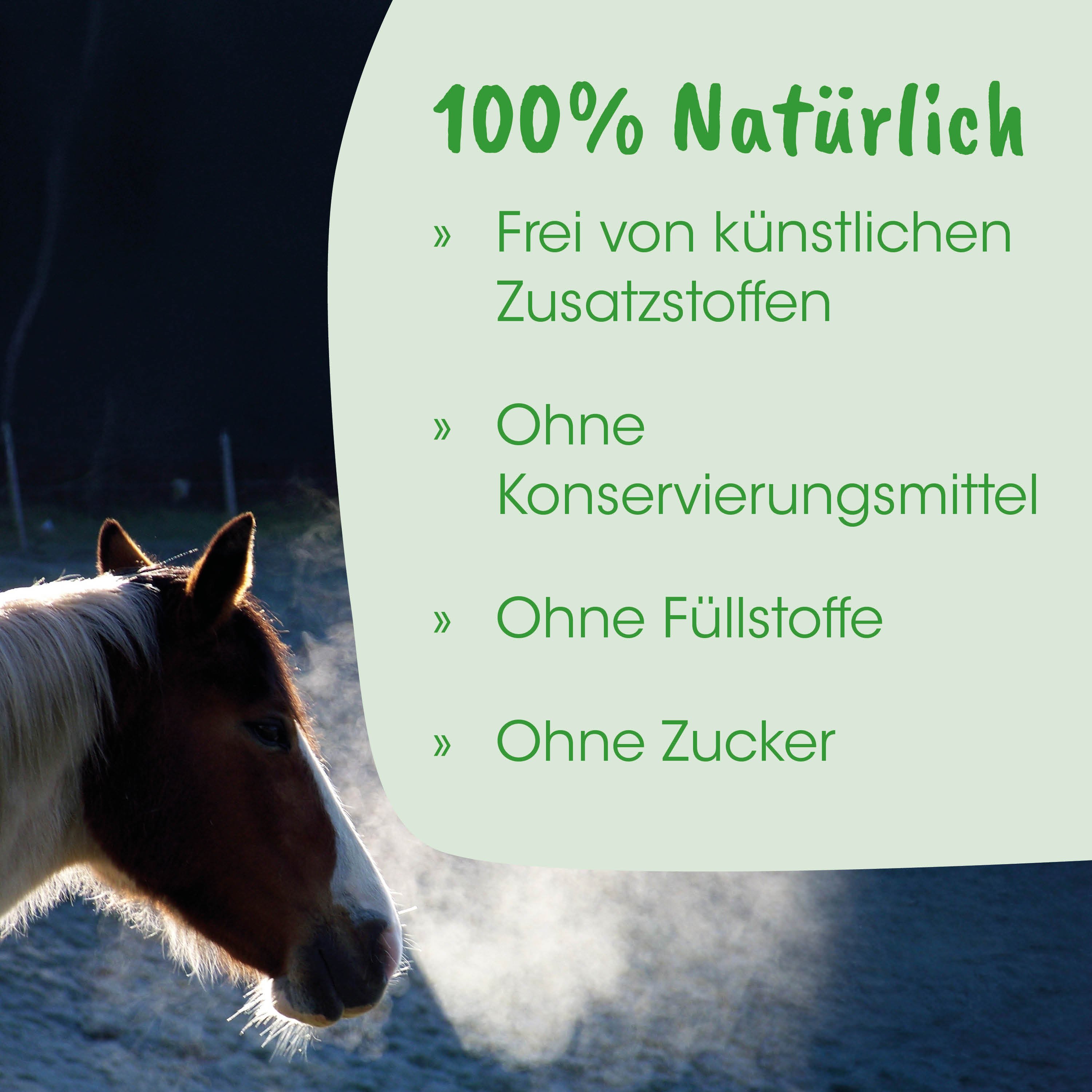 Pferd, Pferdekopf, Pony, braun, weiß