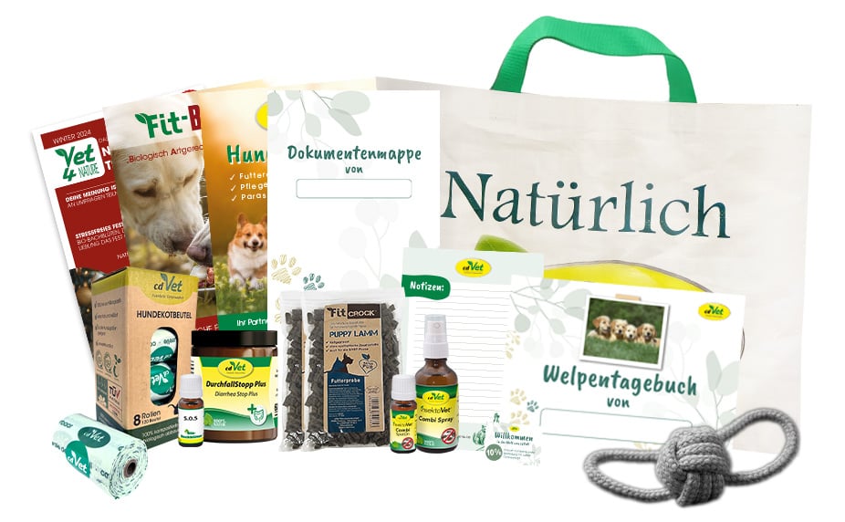 Welpen-Bundle Parasiten
