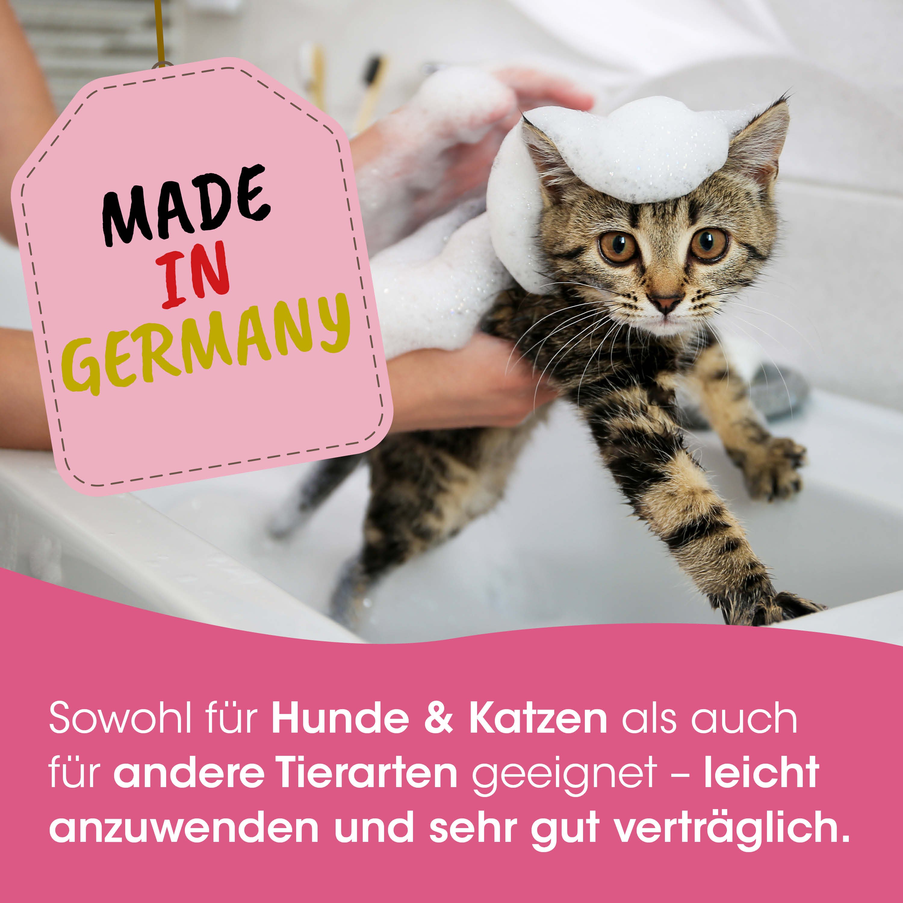 Katze, Katzenbad, Katzenshampoo, Löwenzähnchen, Made in Germany