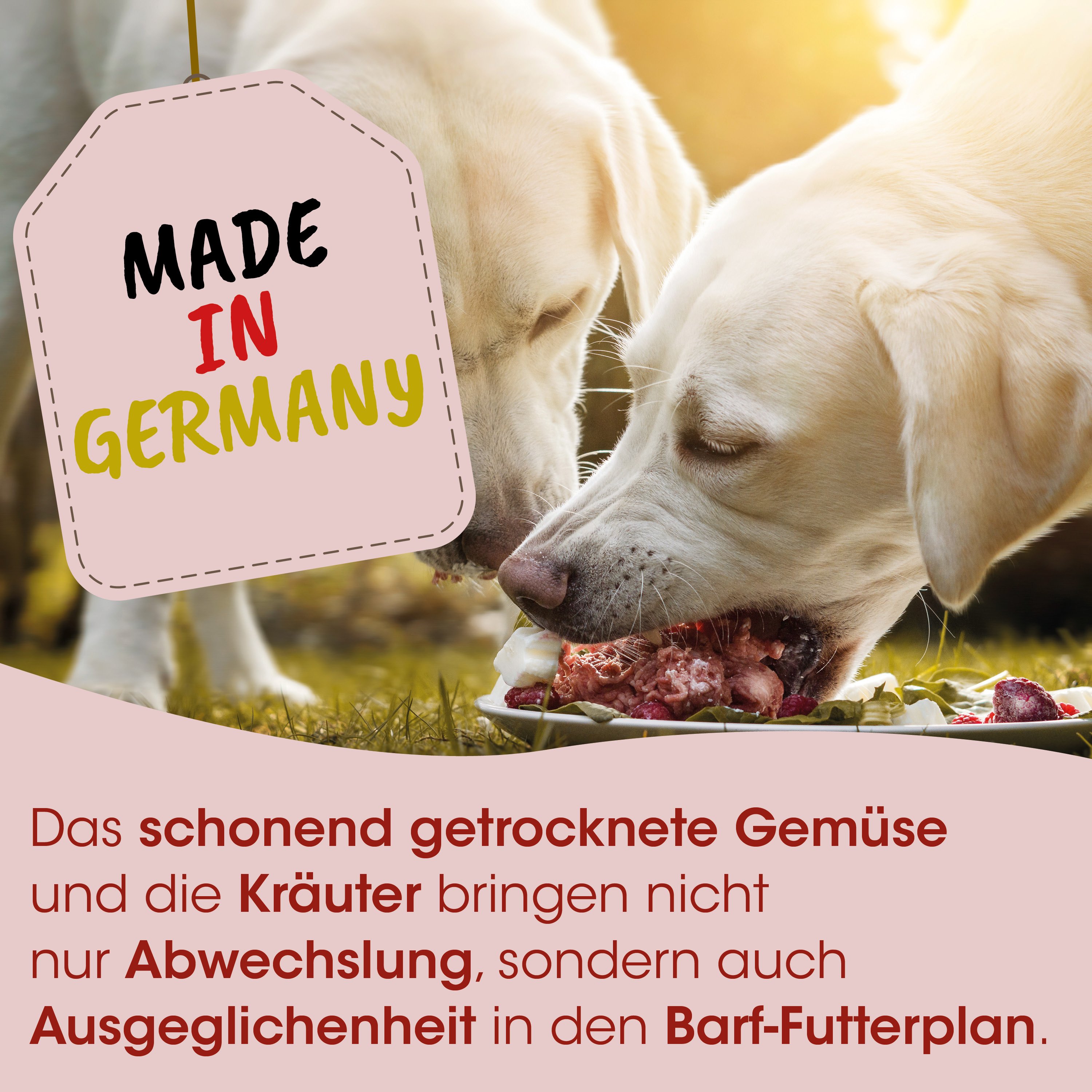 Hund, Futtermittel, Hundefutter, Beef/Fleisch, Kräuter