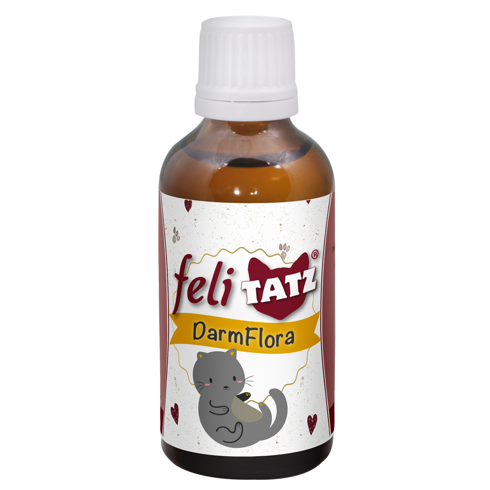 katze, Tinktur, Darmflora, orange-braune Flasche, Etikett Text