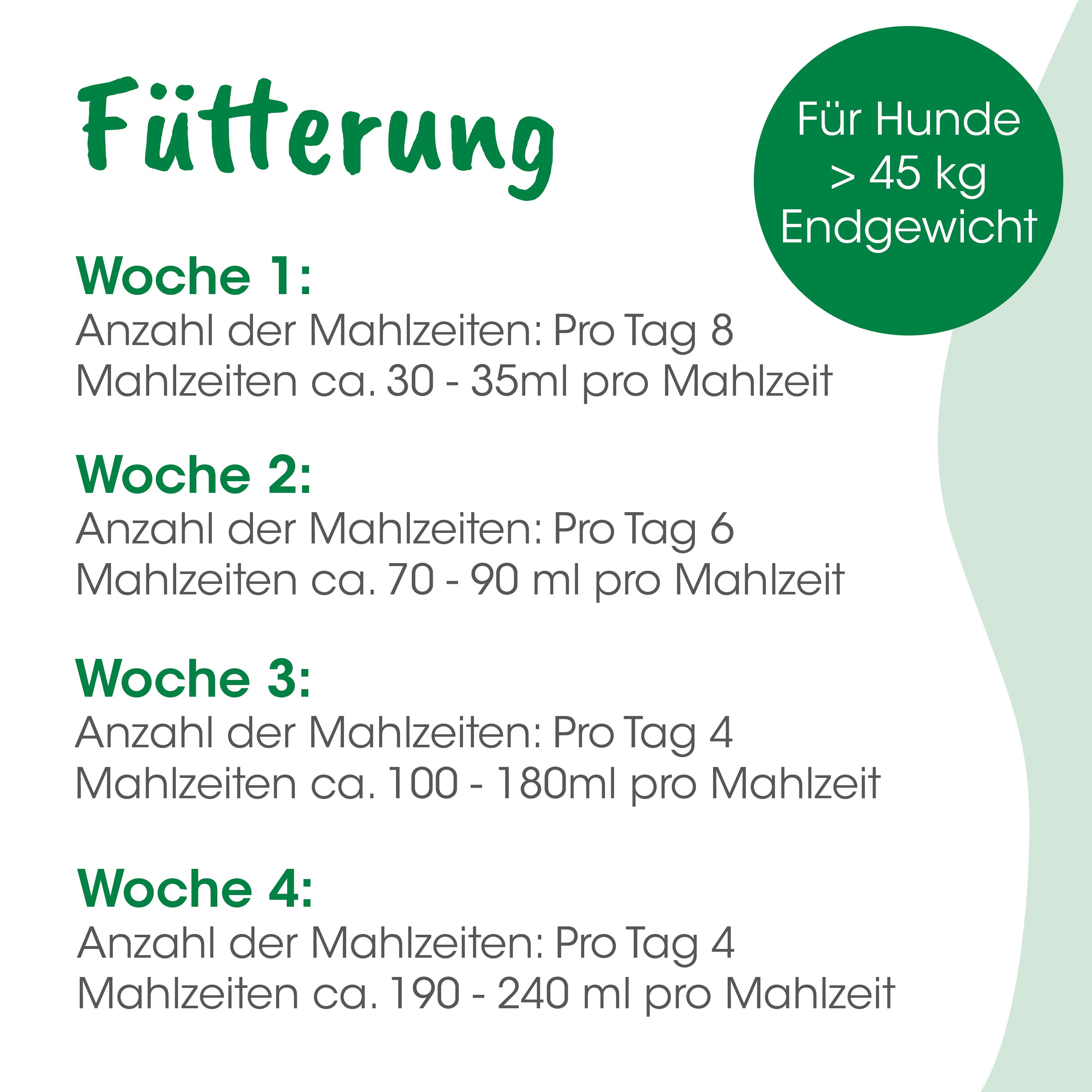 Futterung, Hundeernährung, Tagesration, Woche, Mahlzeitplan