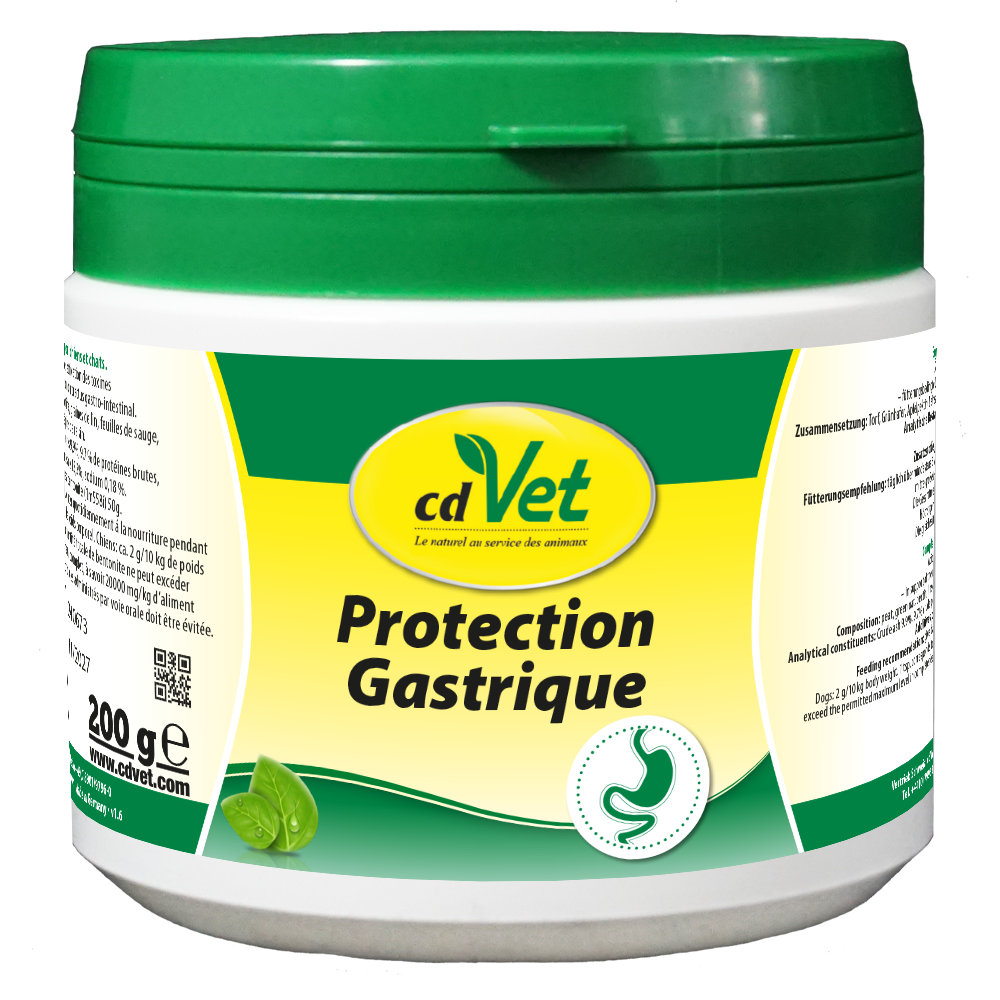 Protection Gastrique