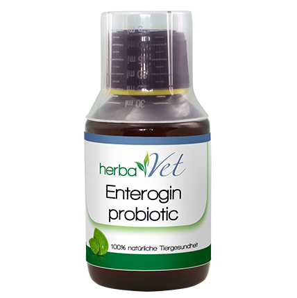 herbaVet Enterogin probiotic 100 ml