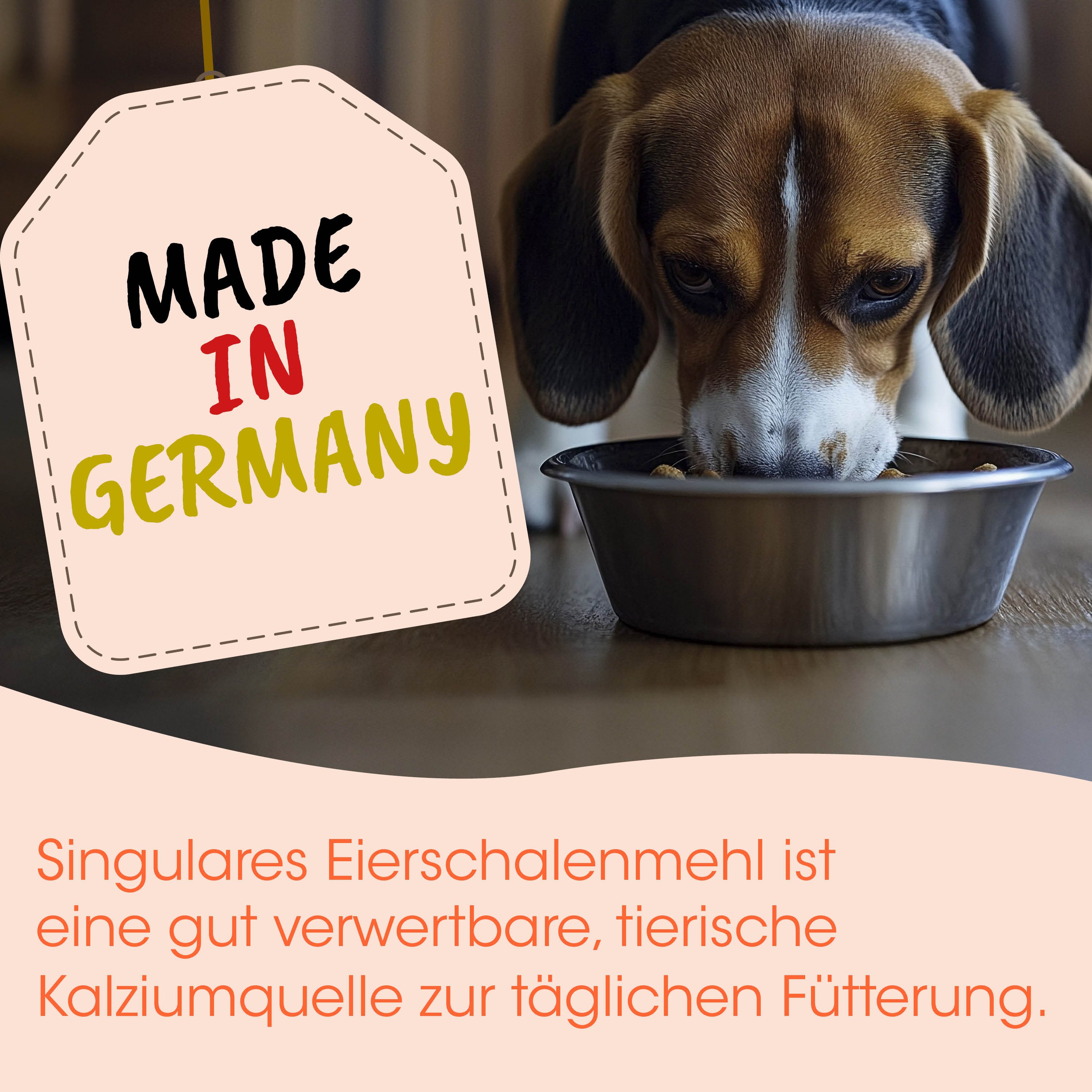 Hund, Hunde-Futter, Tierfutter, Nassfutter?
