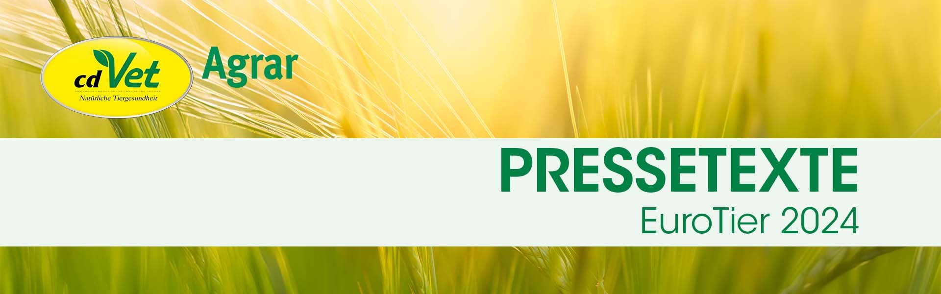 Pflanze, Vegetation, Landwirtschaft, Draußen, Gras
