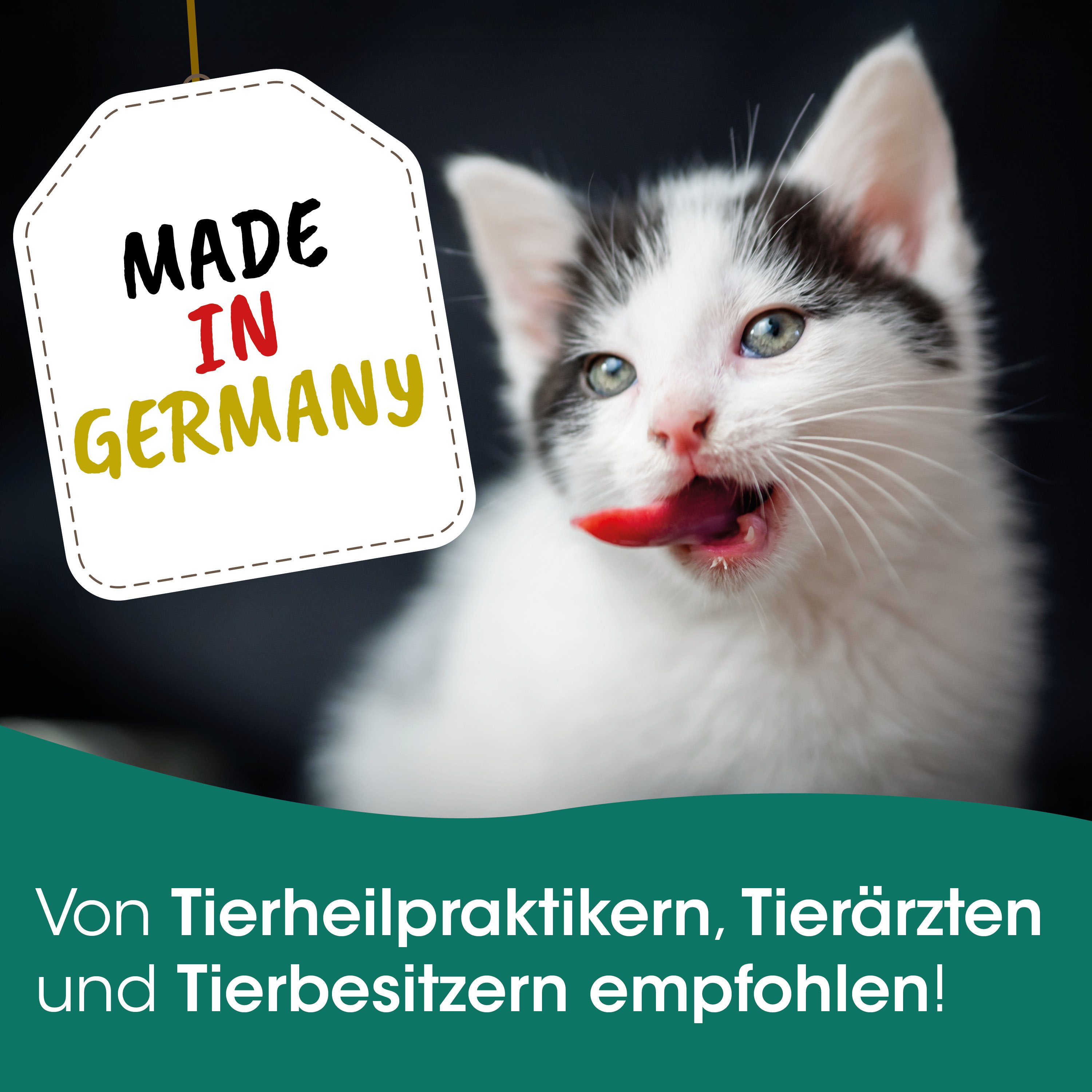 Katze, Katzenbild, Tierlogo, Made in Germany, Pfoten photo