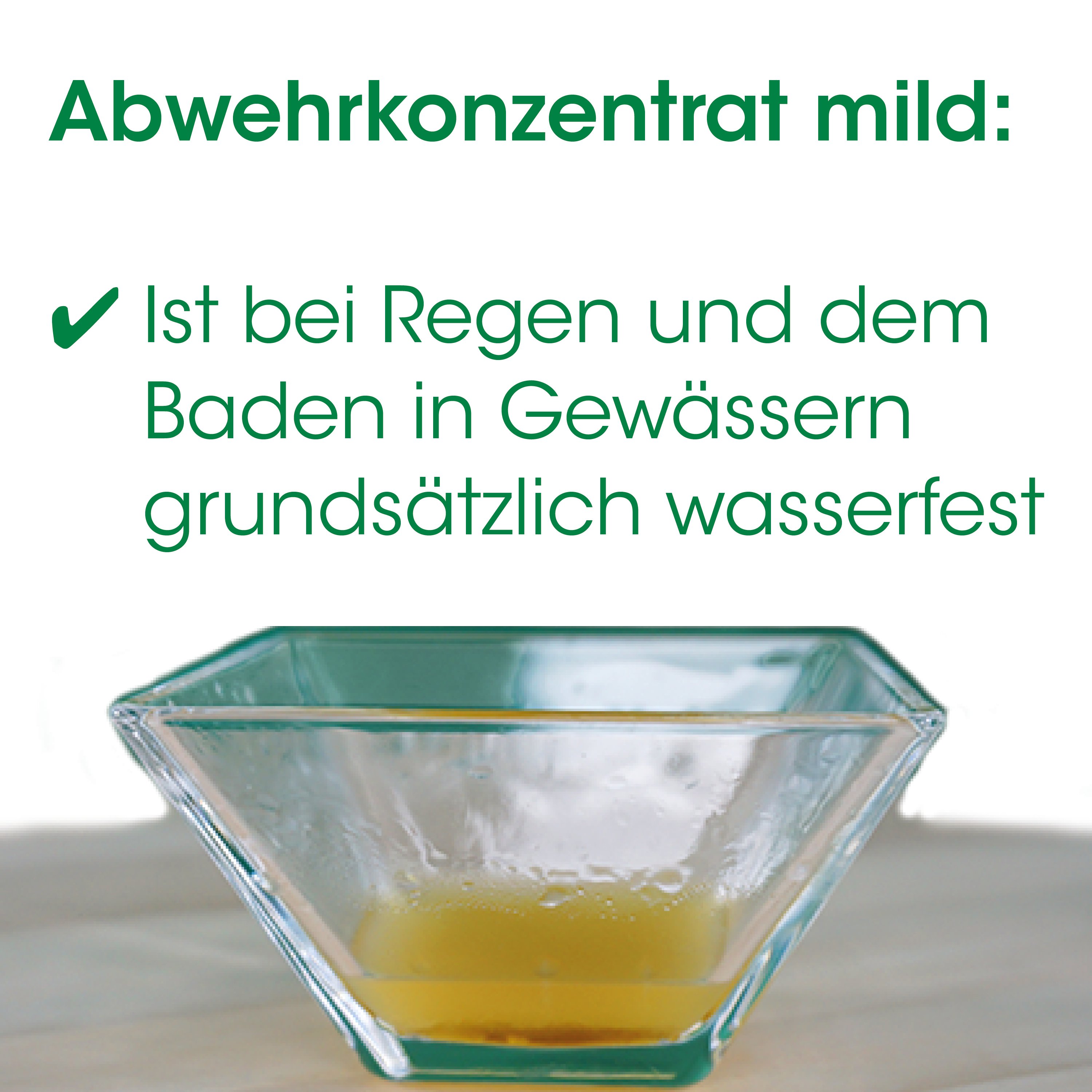 glass bowl, martini glass, orange juice, translucent glass, green rim
