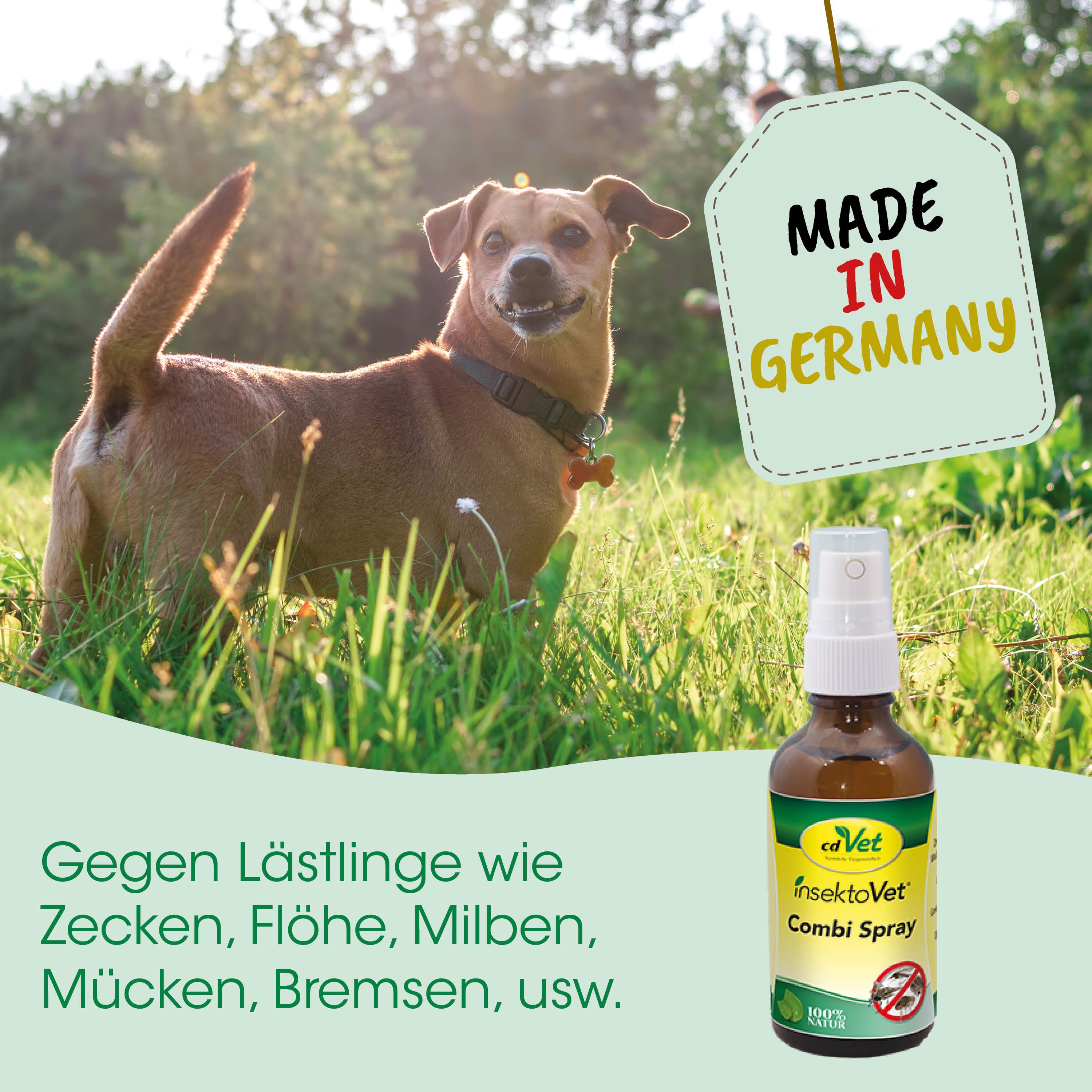Hund, Insektenschutz, Spray, Flasche, Tierarzt?