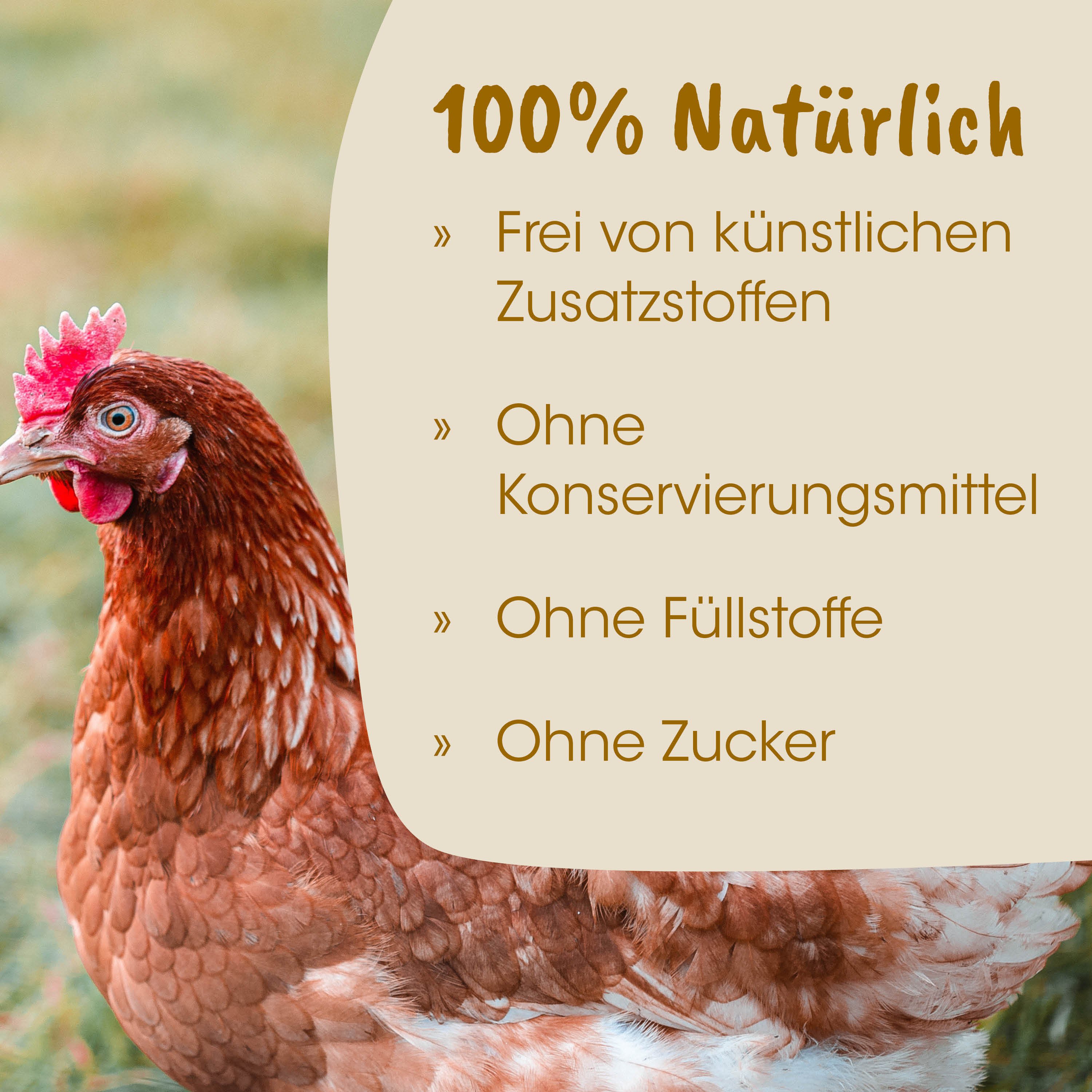 Henne, Huhn, braune Federn, Vogel, Hoftier