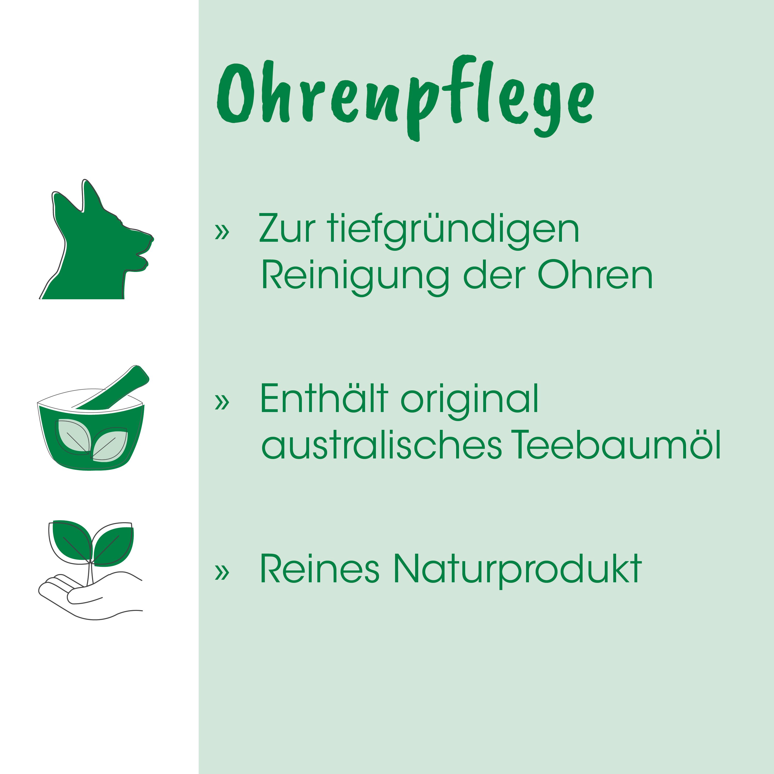 Ohrenpflege, natürlich, Teebaumöl, Handhabe, Bioprodukt