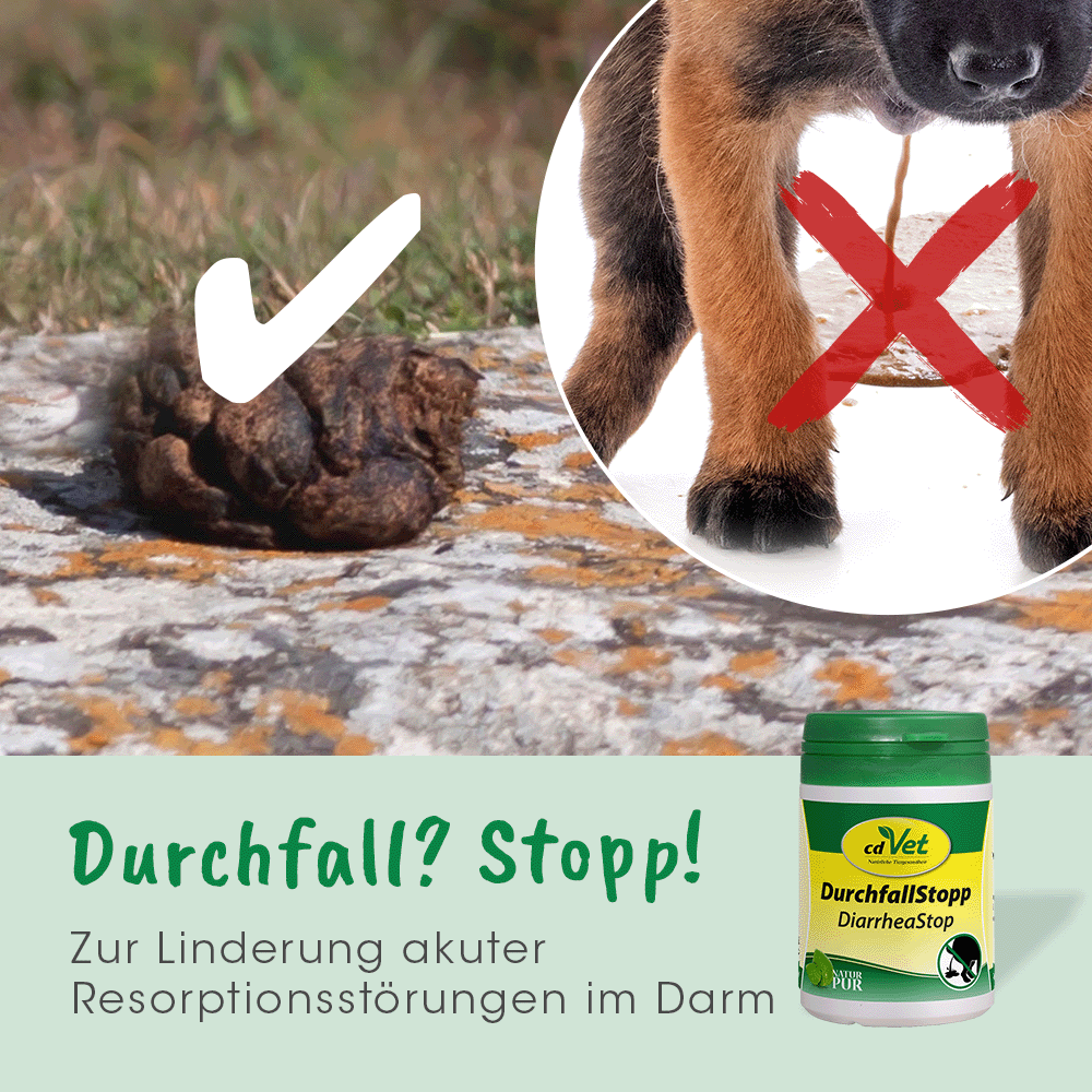 DurchfallStopp 50 g