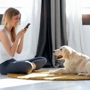 Weiblich, Mädchen, Person, Jugendlich, Hund