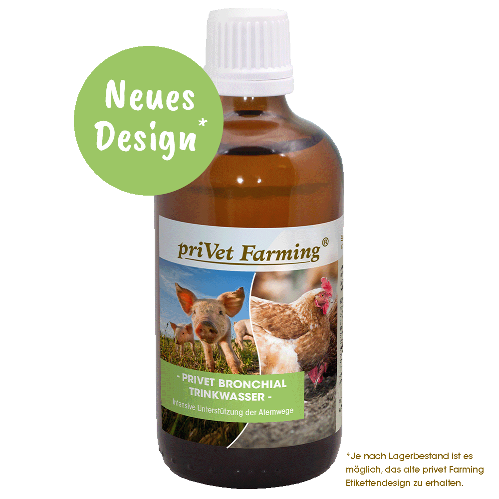 privet Bronchial Trinkwasser 100 ml