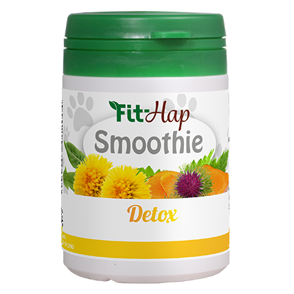 Fit-Hap Smoothie Detox 20 g