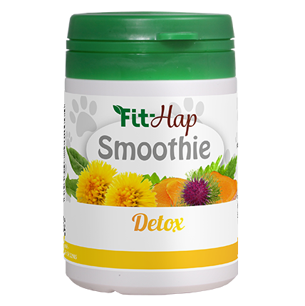 Fit-Hap Smoothie Detox 20 g