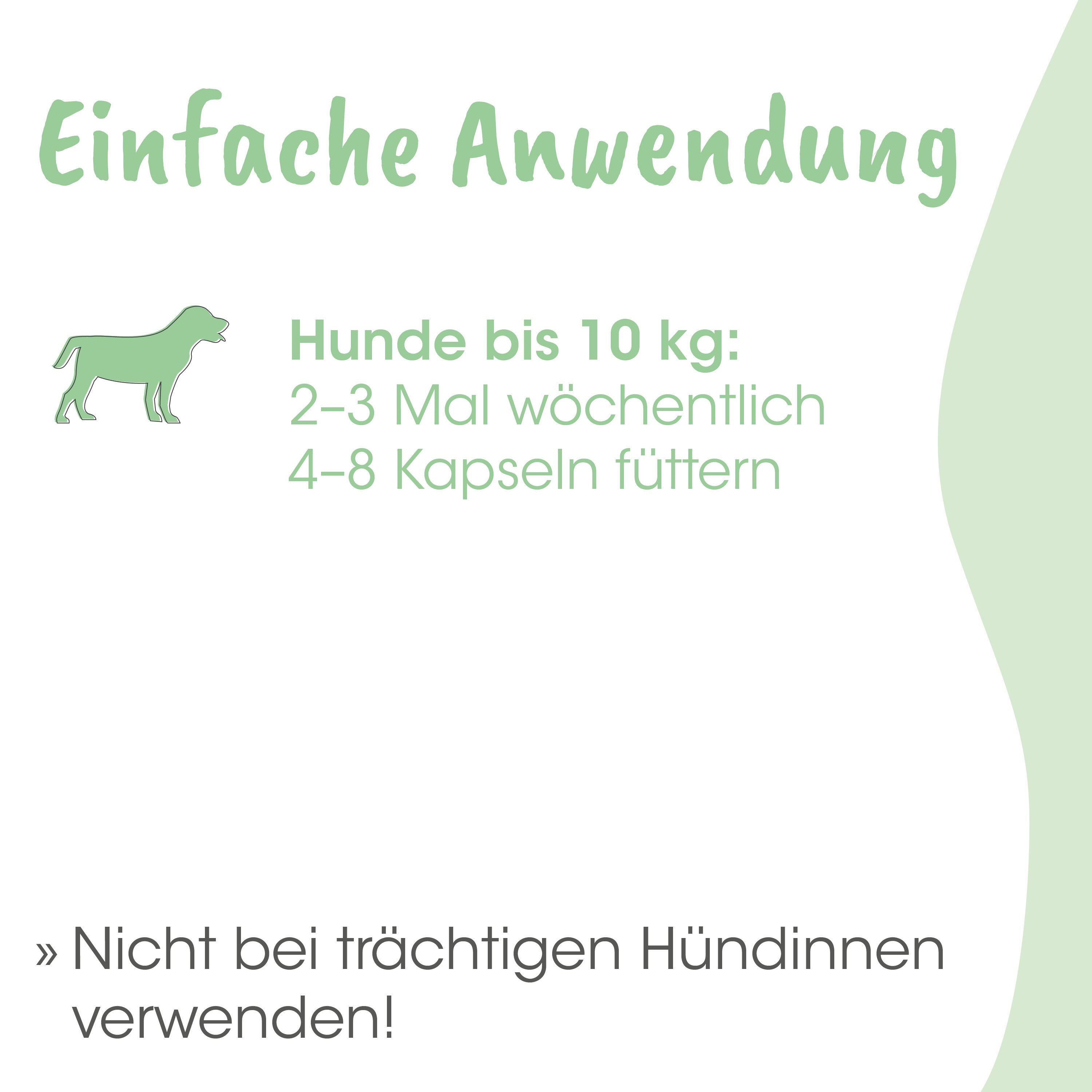 Hund, Kapseln, Fütterung, Hunde, Tiernahrung