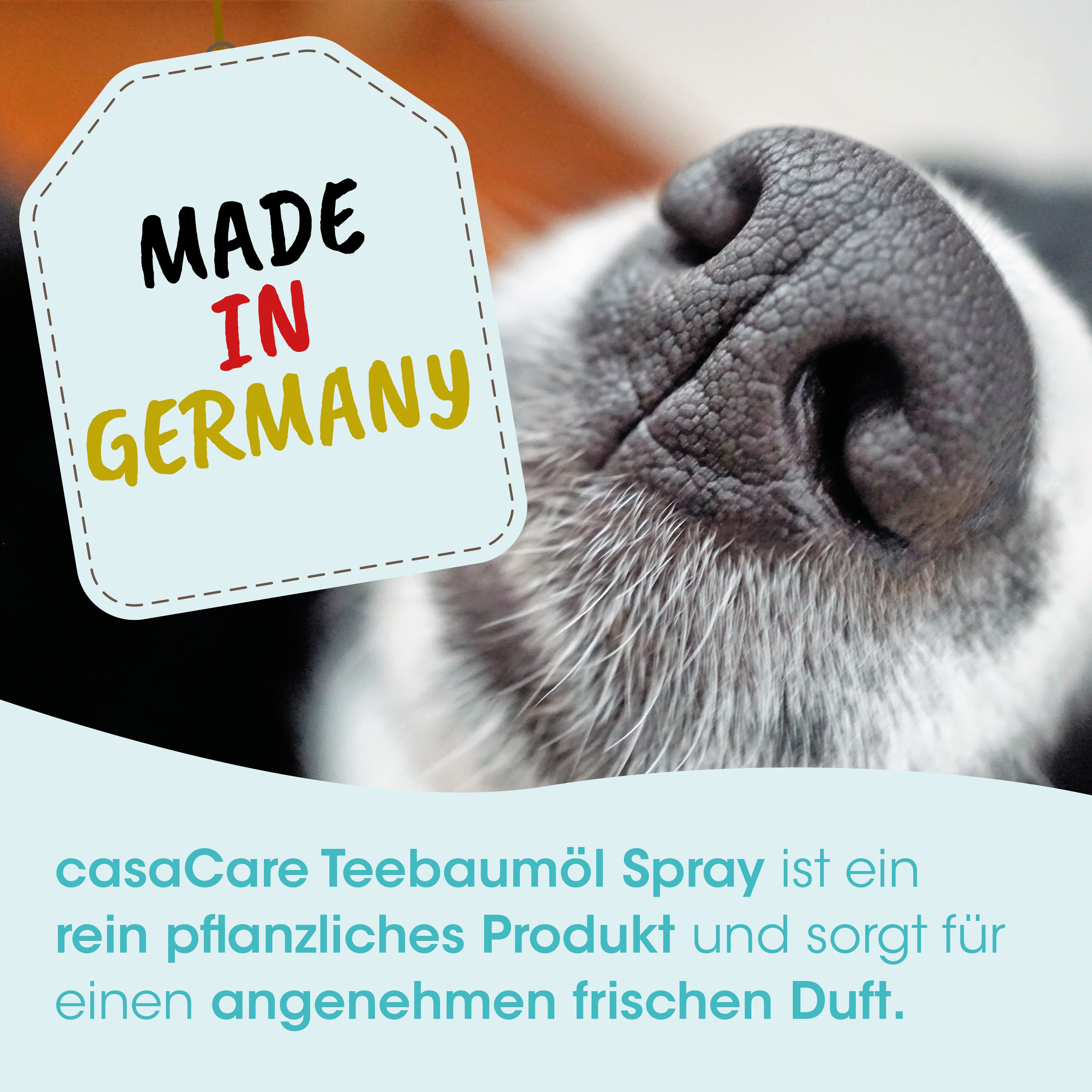 dog nose, close-up, Grafik-Tag, Made in Germany, Teebaumöl-Spray