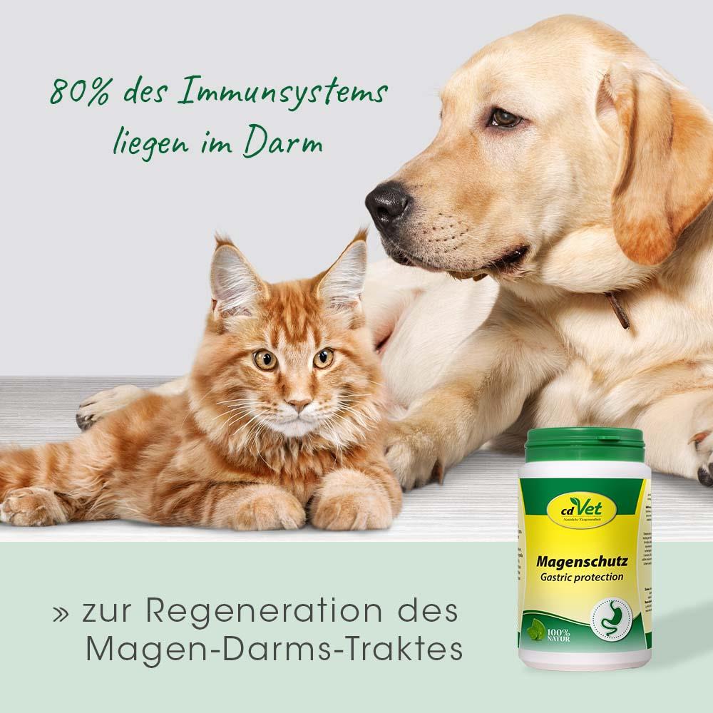 Magenschutz 2 kg