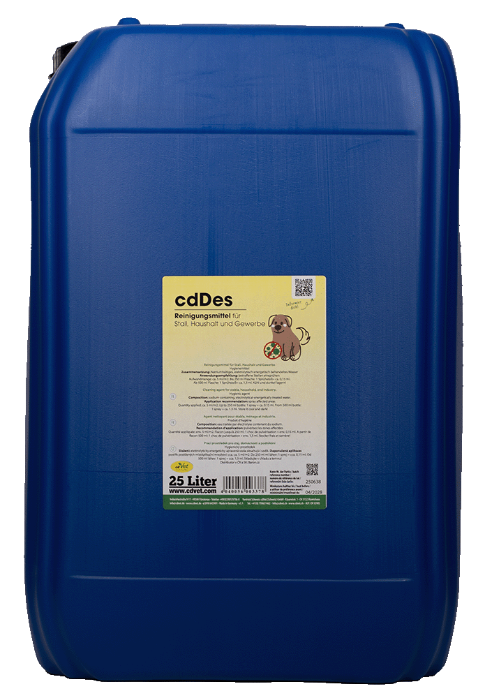 cdDes 25 L Postfach, Gepäck, Hund, Säugetier, Haustier