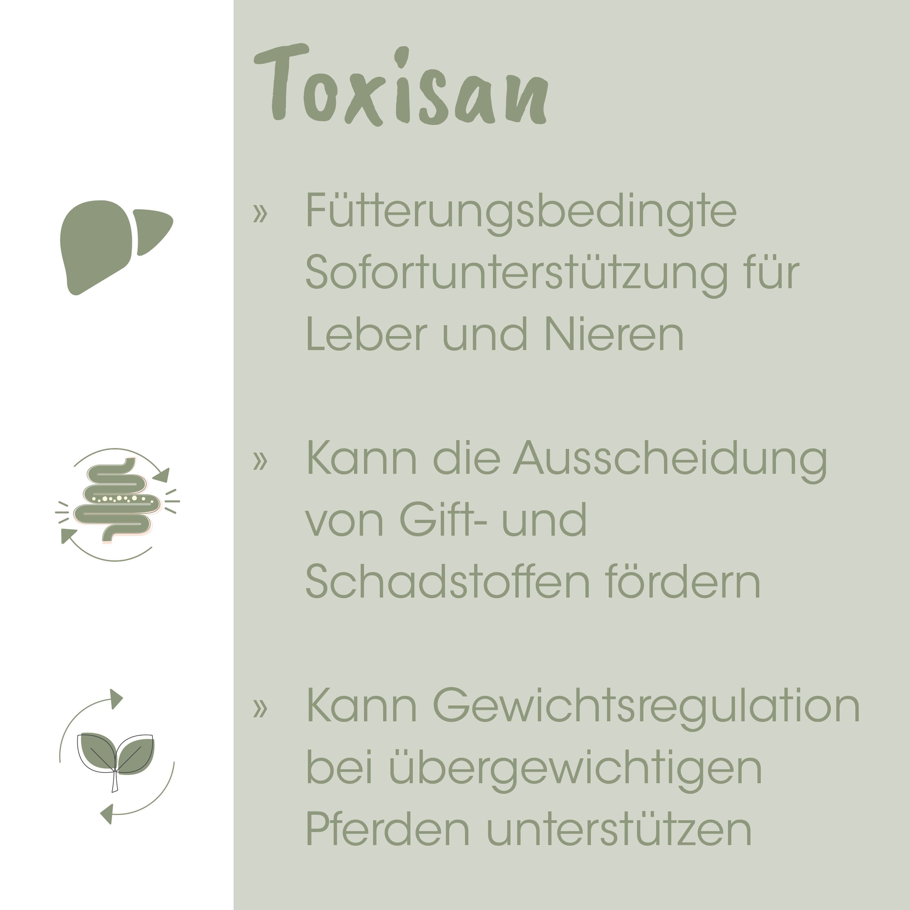 medizinisch, ergänzung, Leber, Niere, Spritze