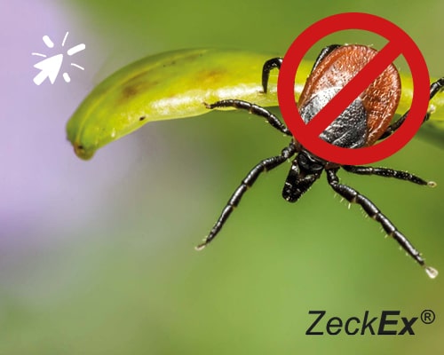 Zeckenbanner