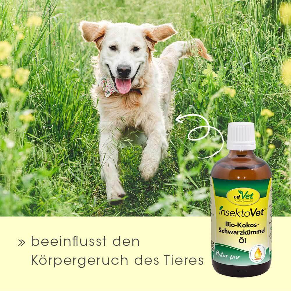 insektoVet Bio-Kokos-Schwarzkümmel-Öl 100 ml