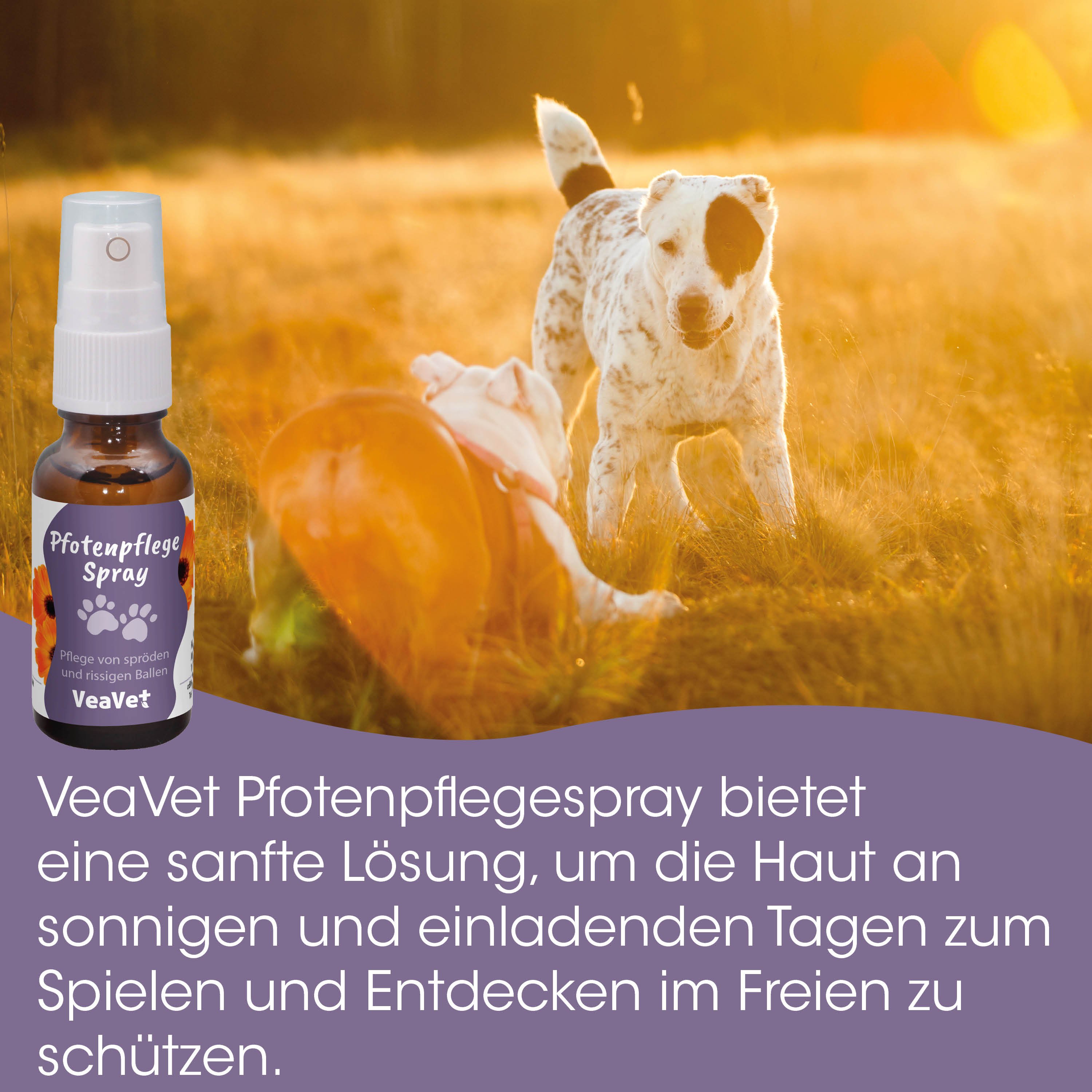 Pfotenpflege, Spray, Hund, Flasche, Pflegeprodukt