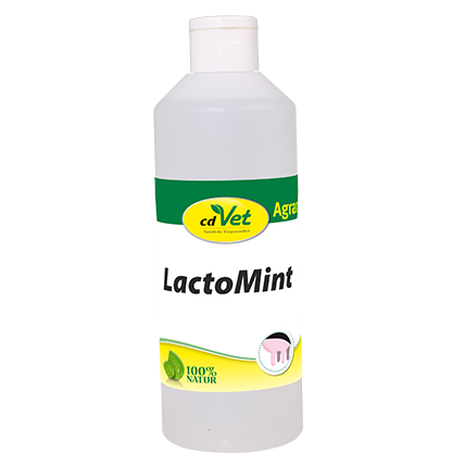 LactoMint 500 g -Sorbe-