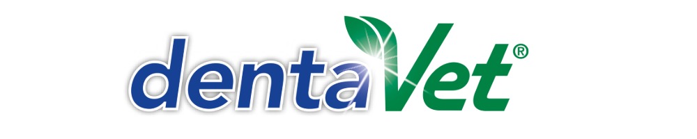 veterinärlogo, zahnarztlogo, markenname nicht sichtbar, blatt-akzent, grün-blau