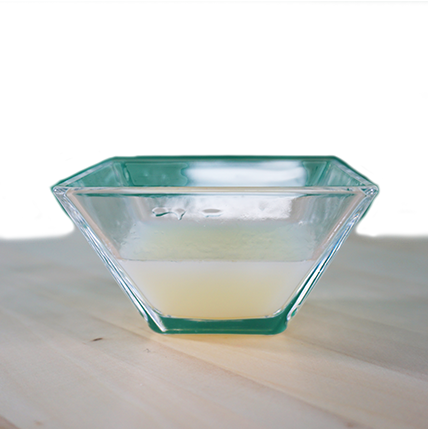 insektoVet Total 500 ml