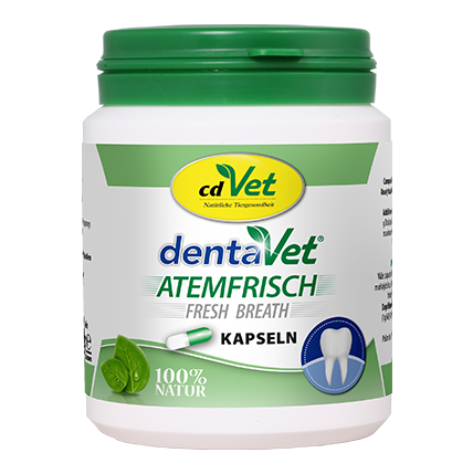 zahncreme kapseln, zahnreiniger, dentavert, kapseln, natürliches zahnprodukt