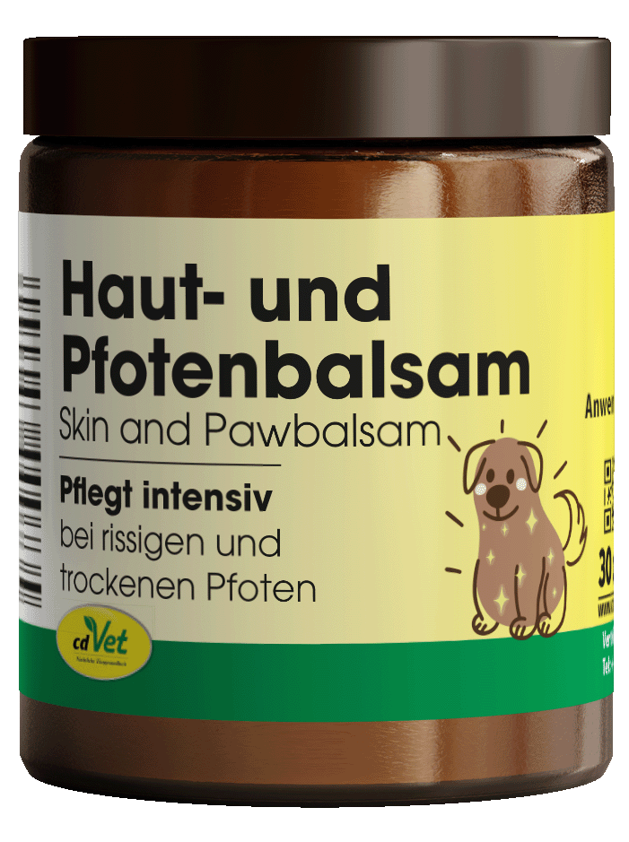 Tier, Hund, Säugetier, Haustier
