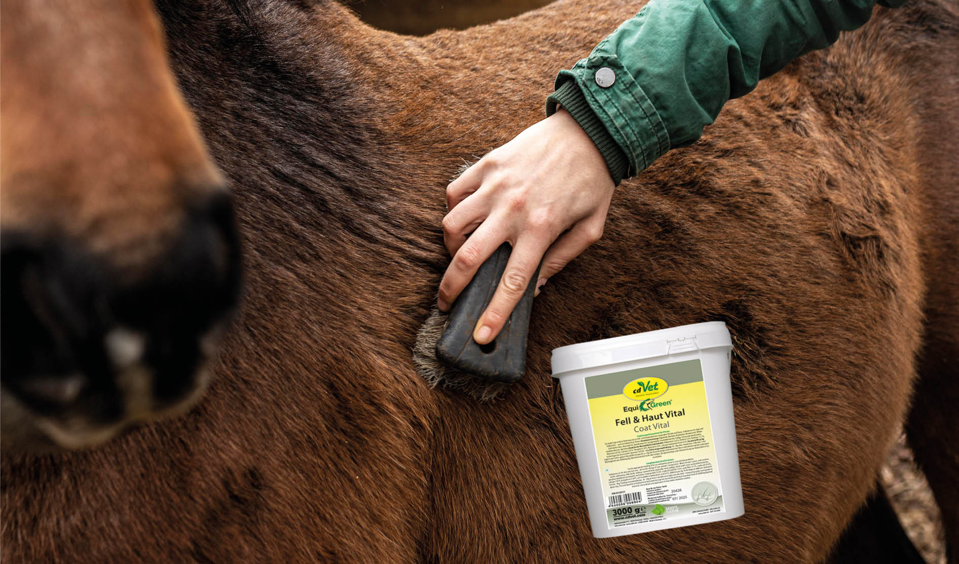 Mantel, Pflege, Eimer, Hufpflege, Pferd