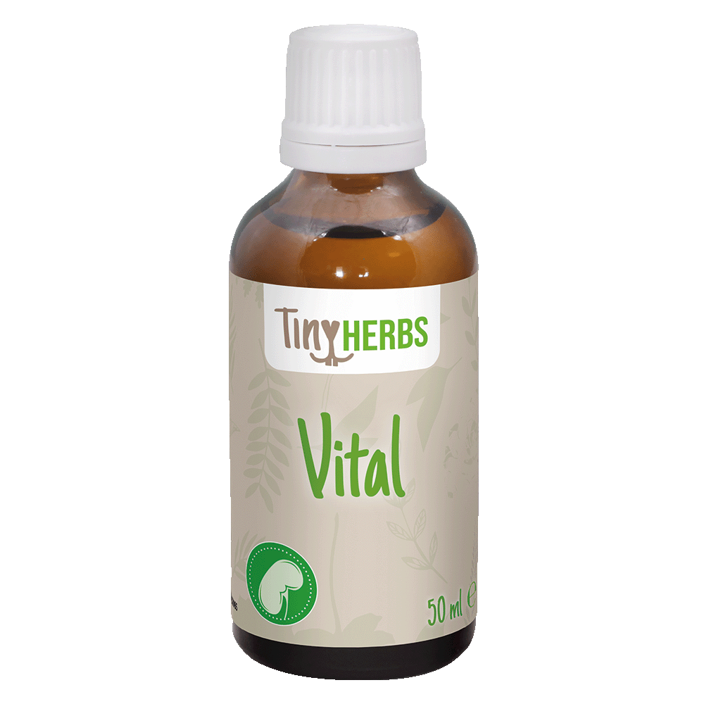 Vital, Kräuter, Tropfen, 50 ml, TinyHerbs