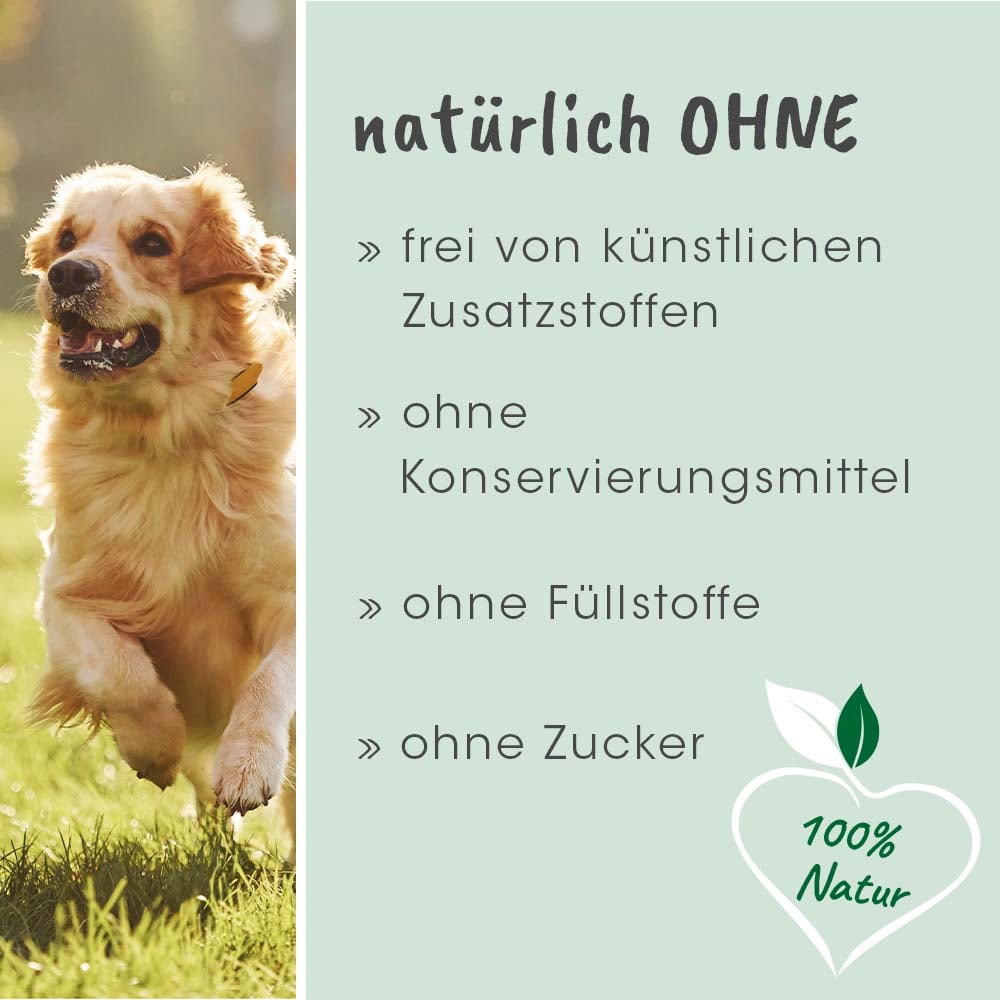 Hund, Haustier, Werbung, Plakat