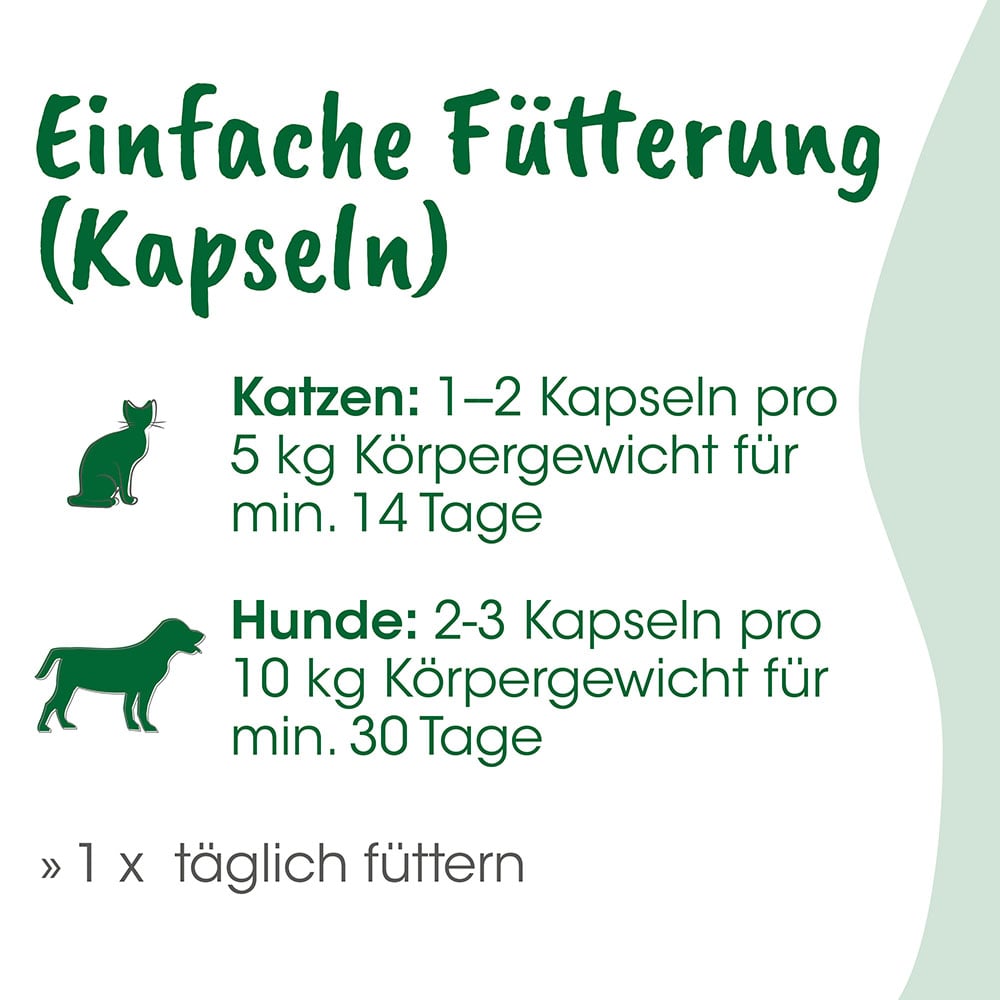 Katzenfutter, Kapseln, Katzenfutter Dosierung, Katzenernährung, Tierfutter