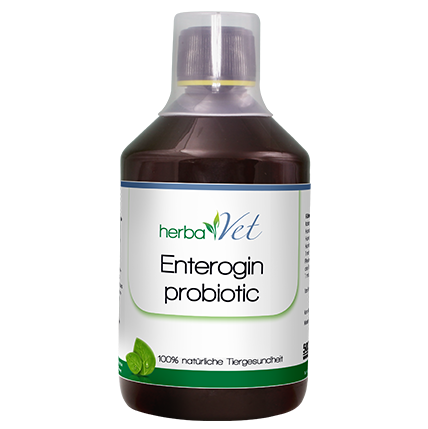 herbaVet Enterogin probiotic 500 ml