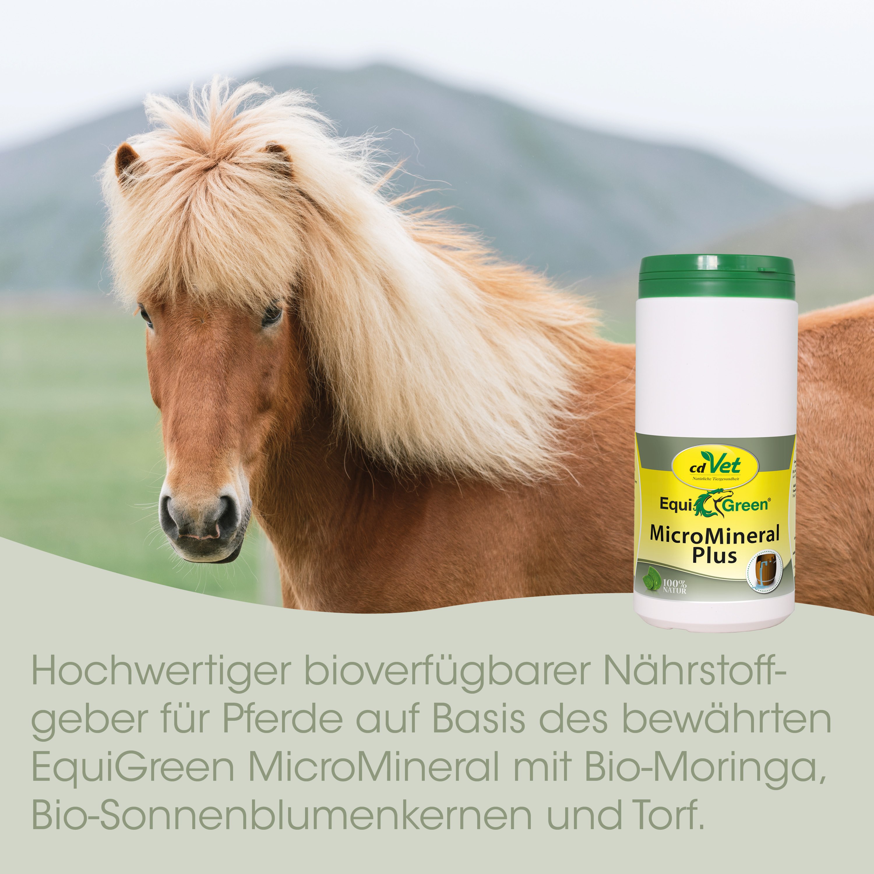 Pferde-Nahrung, Mineralunterstützung, Bio-Moringa, EquiGreen, Nährstoff-Gmöge