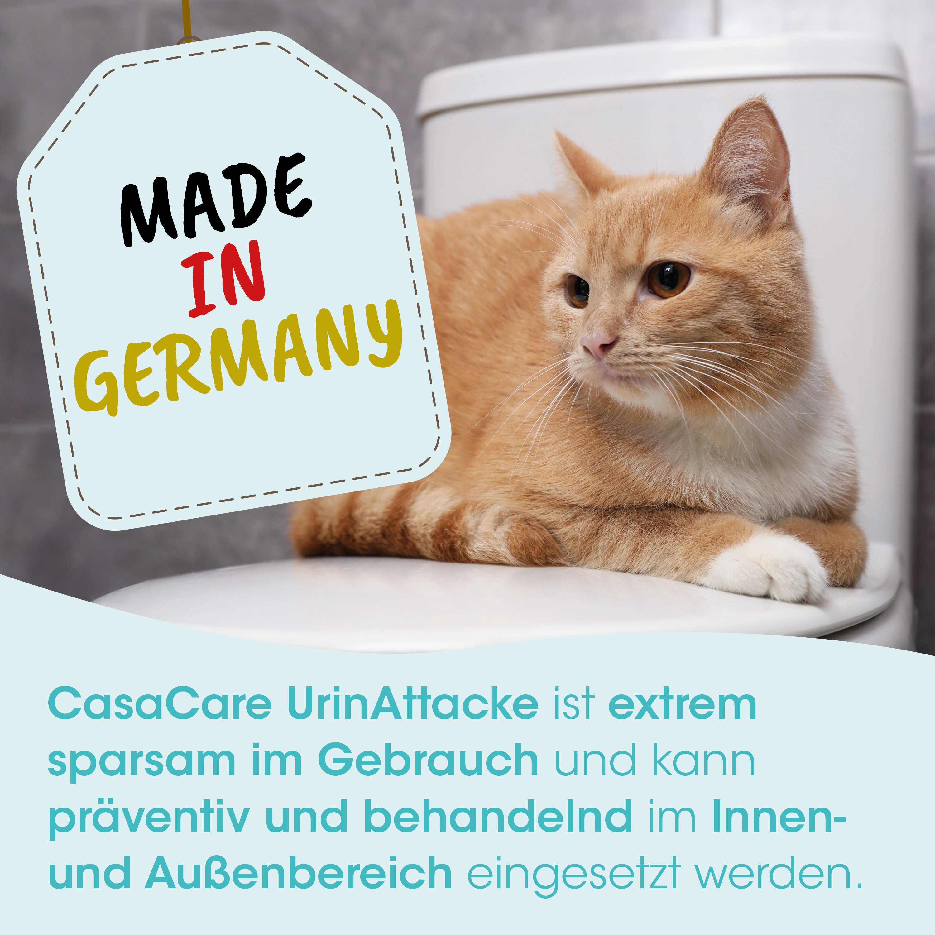 Katze, Toilette, Tag, Made in Germany, Tierprodukt