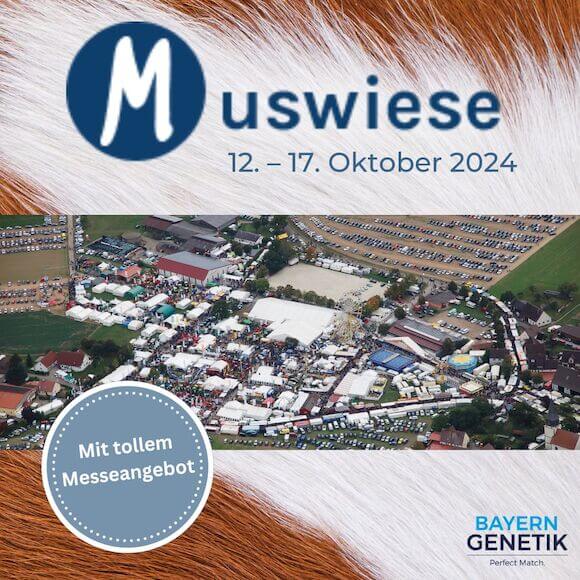 Werbung, Plakat