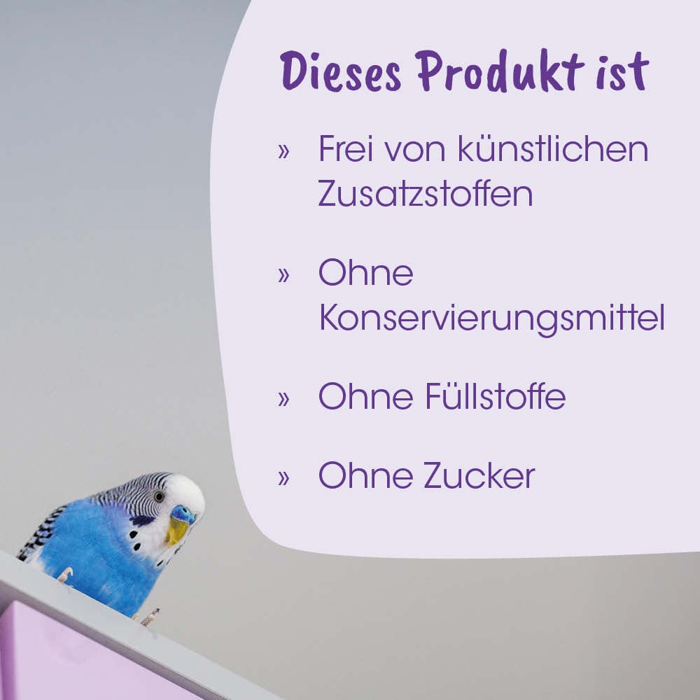 Vogel, Haustier, Kaufladen, Papagei, Käfig