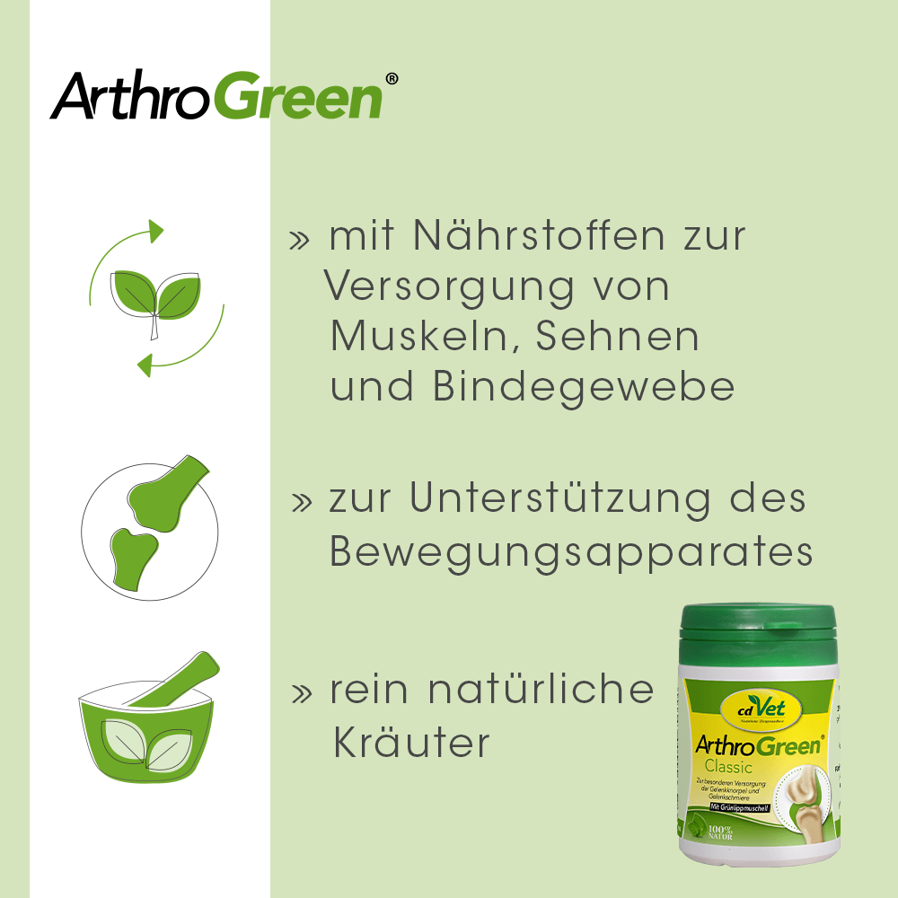 Arthrose, Gelenkunterstützung, natürliche Kräuter, grüne Verpackung, Gesundheit