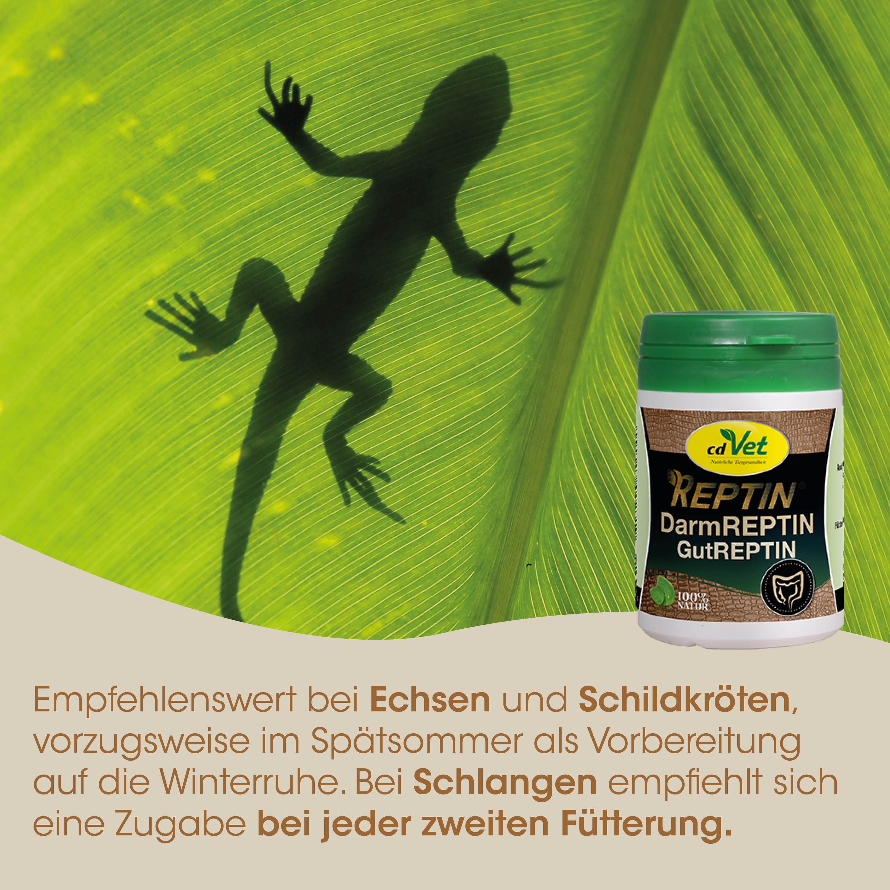 Reptin, Darm, Vet, Gelbgrün, Hergestellt